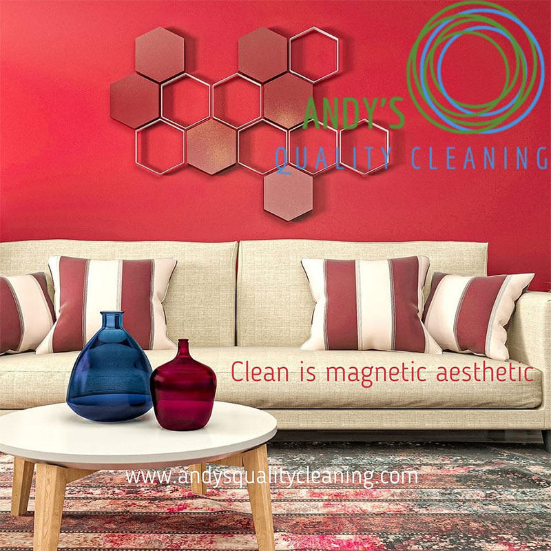 https://www.andysqualitycleaning.com/images/guide-to-cleaning-your-living-room-and-hall-area-for-the-spring-01.jpg