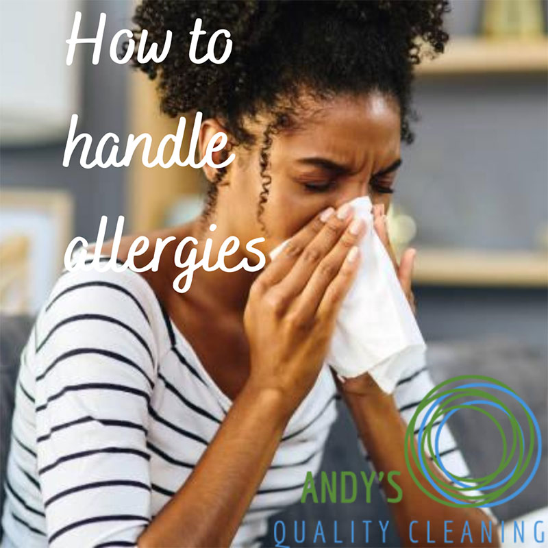 How to Handle Allergies in the Home