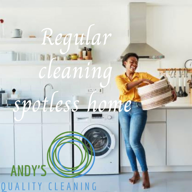 Weekly Chores for a Spotless Home